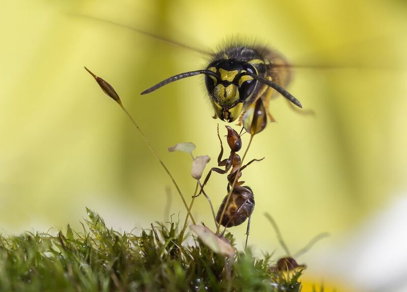 И такое бывает... фото превью