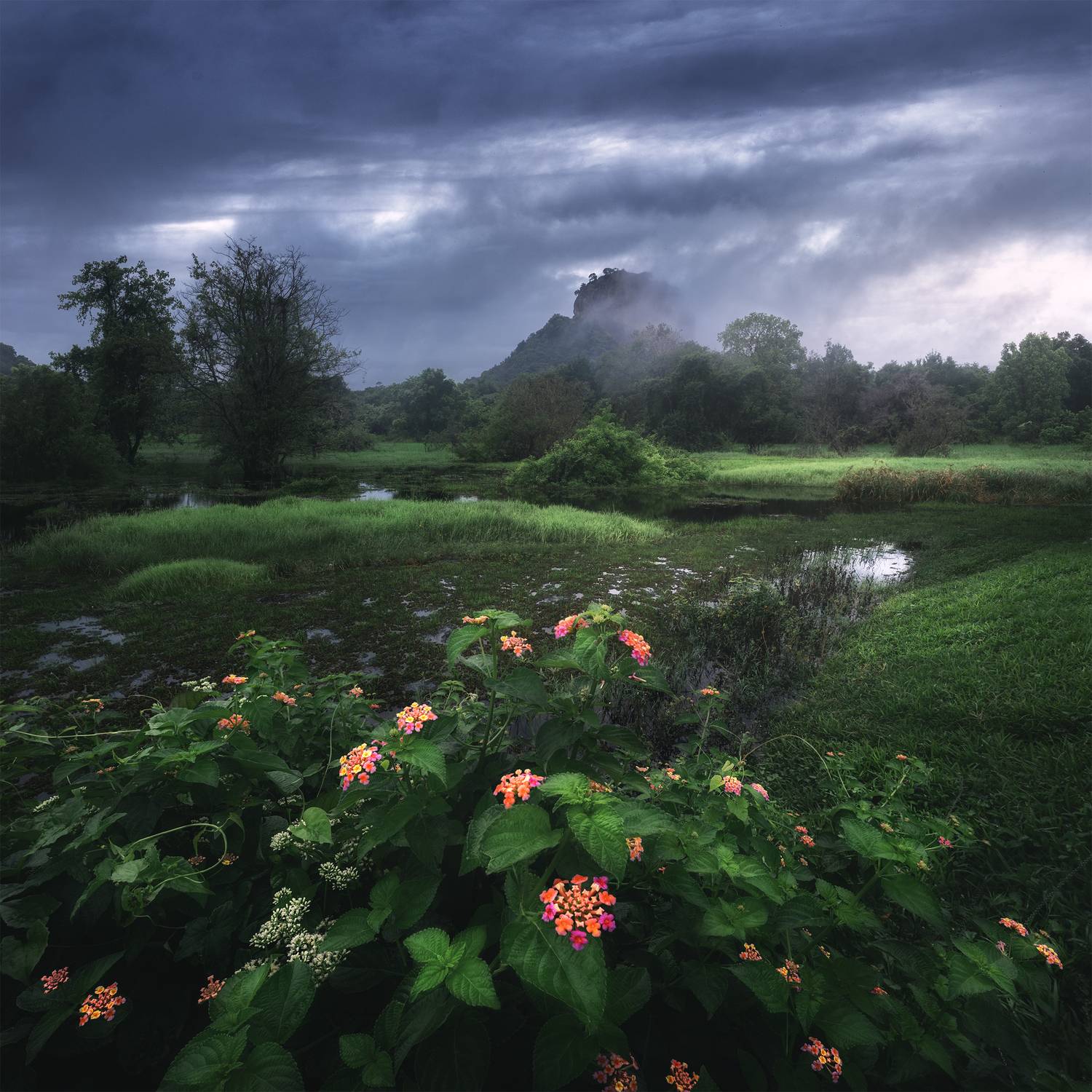 , Политова Анна