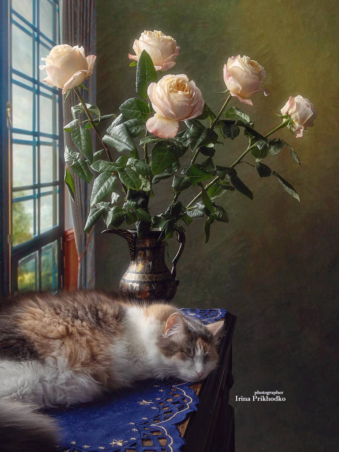 домашние животные, питомцы, кошки, цветы, розы, букеты, интерьер, Приходько Ирина