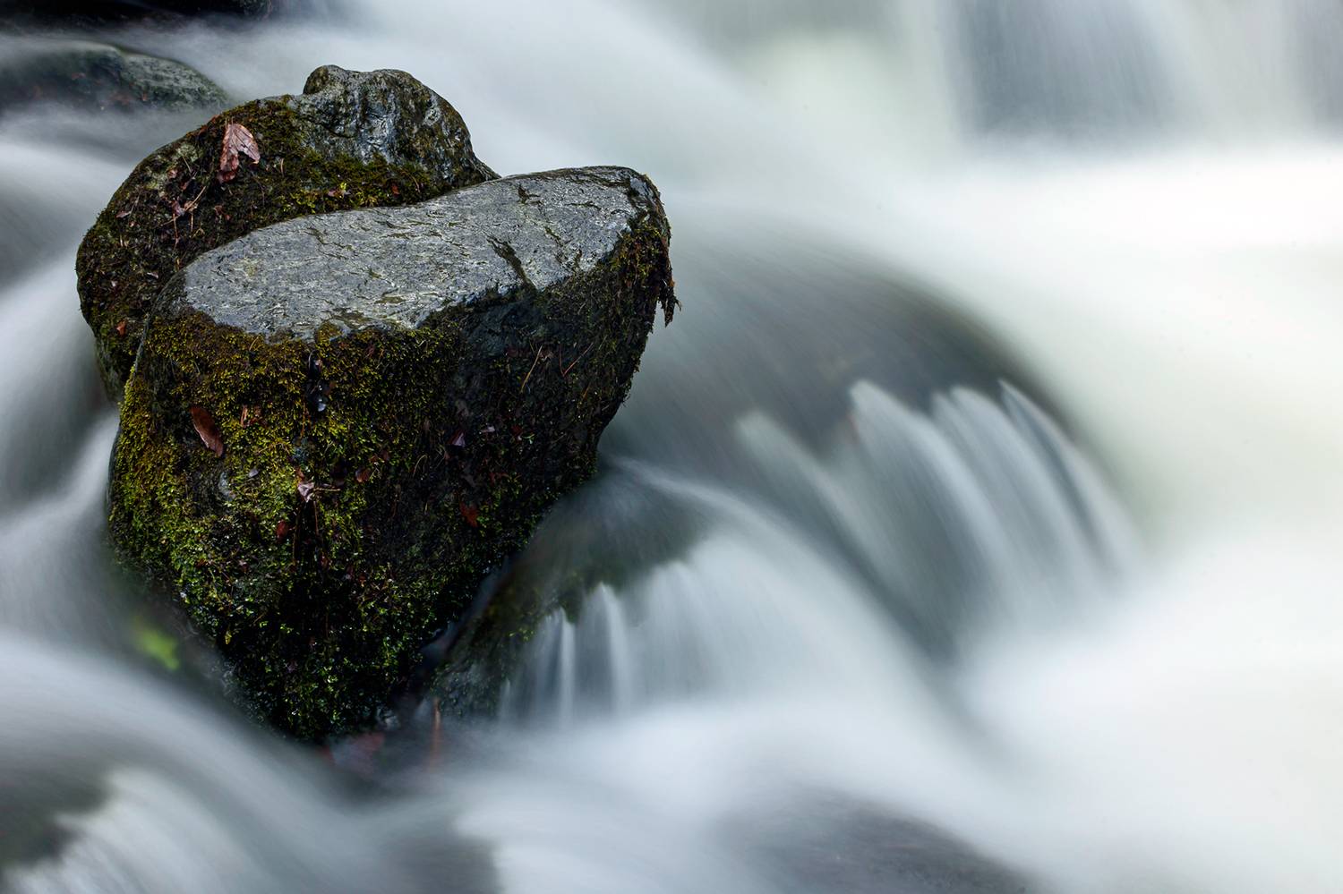 ,  Светослав Радков