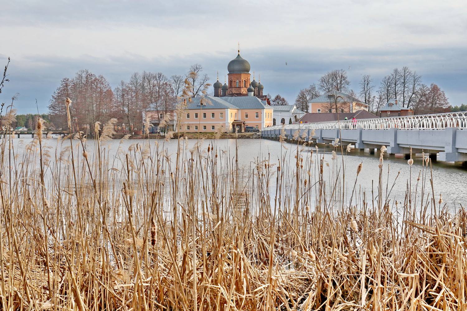 , Добролюбова Тамара