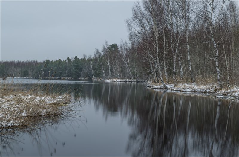Отзимки на торфяниках фото превью