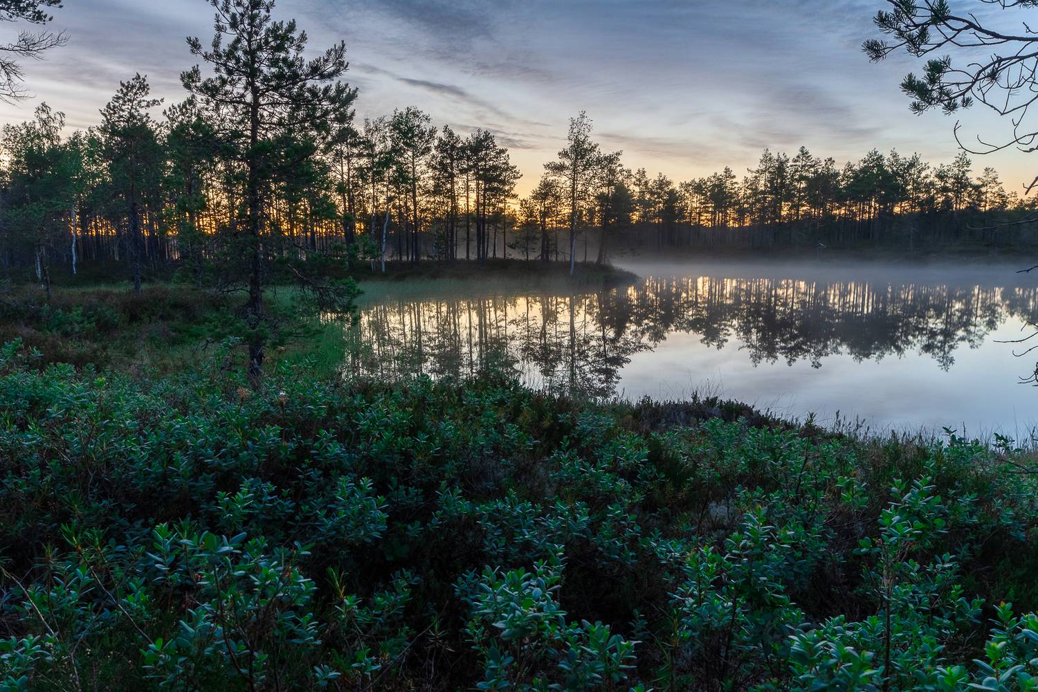 , Комарова Вера