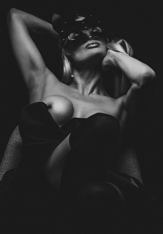 Cat фото превью