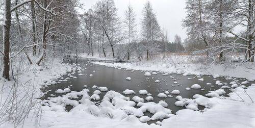 После снегопада.р.Суворощь