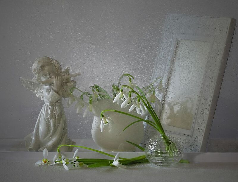 *** фото превью