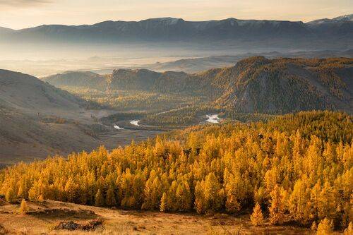Осеннее утро, Алтай