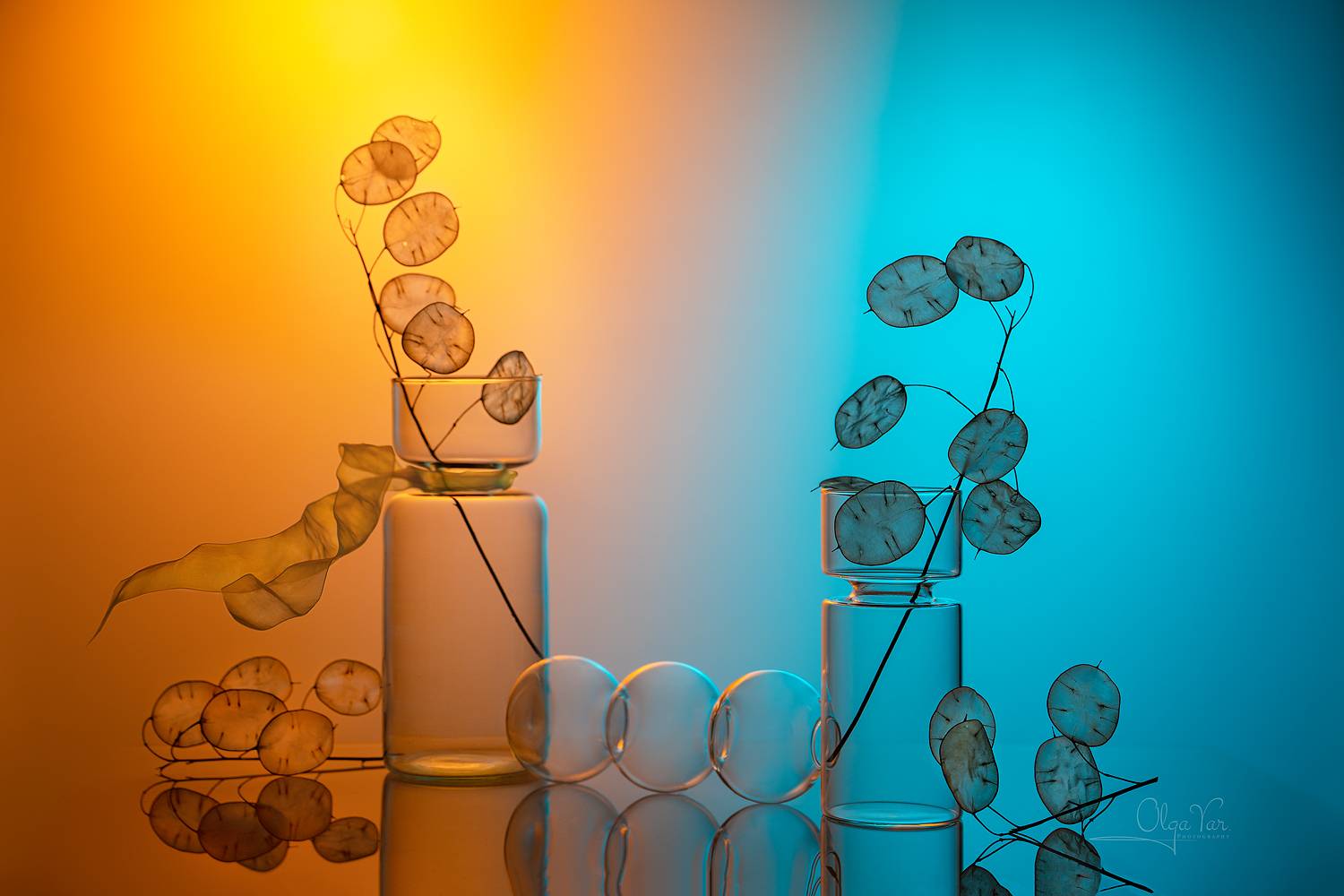 стекло, ваза, лунария, Ольга Яр