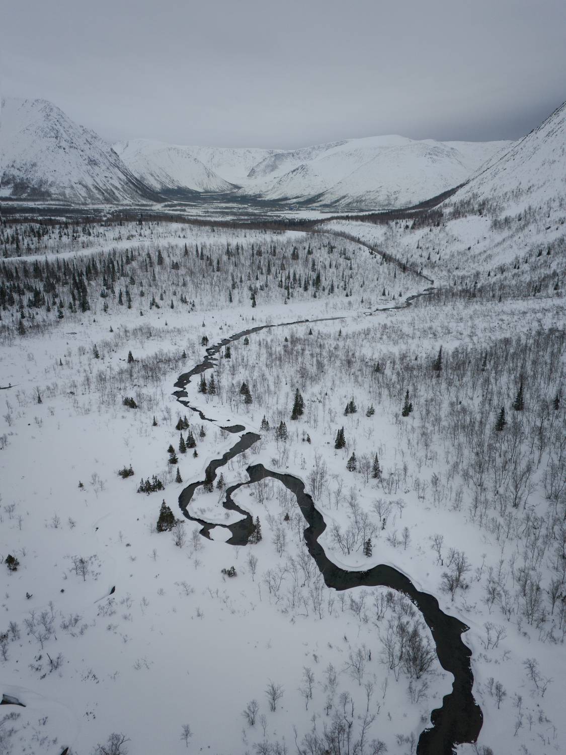, Перевозчиков Андрей