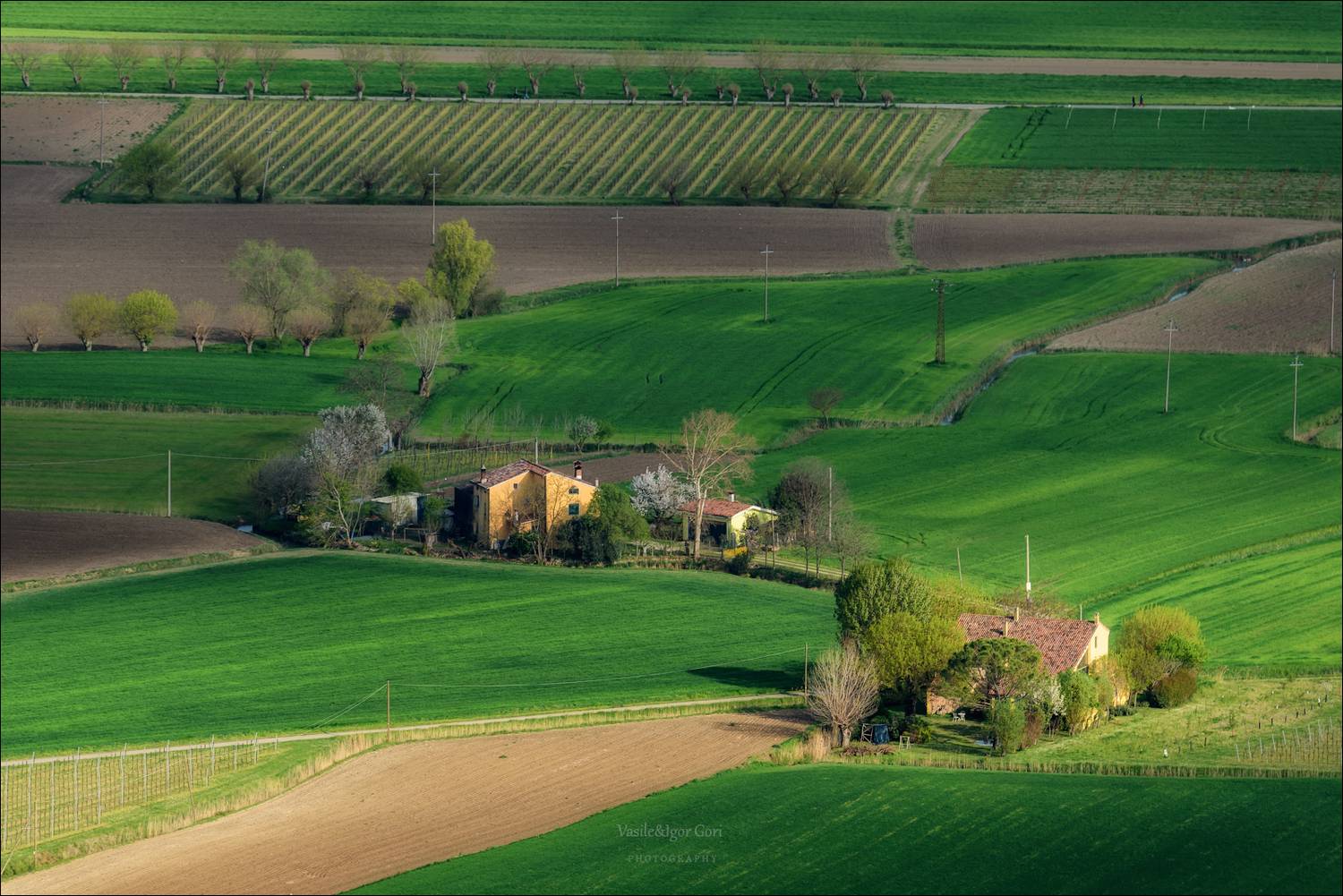 италия,villaga,дорога,весна,colli berici,italy,холмы беричи,road,hills,landscape,nature,agriculture,rural, Гори Василий