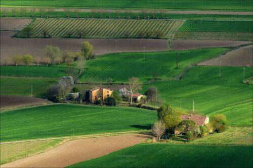 И пришла весна