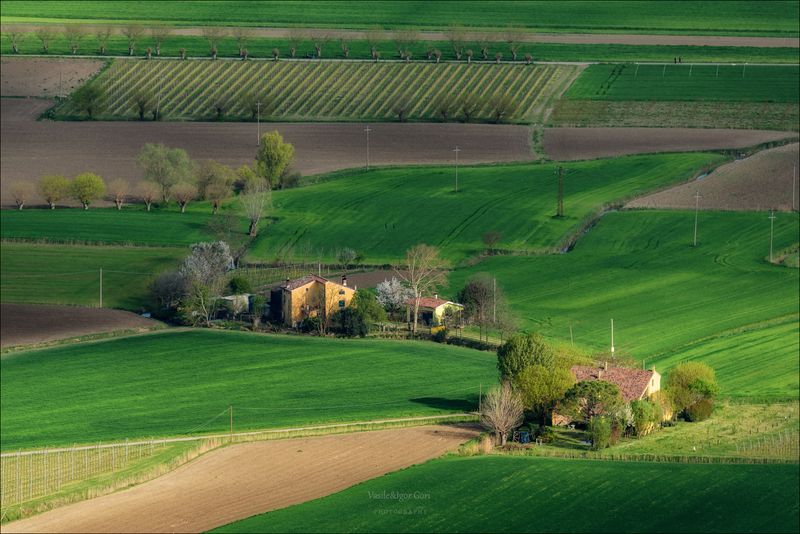 италия,villaga,дорога,весна,colli berici,italy,холмы беричи,road,hills,landscape,nature,agriculture,rural И пришла весна фото превью