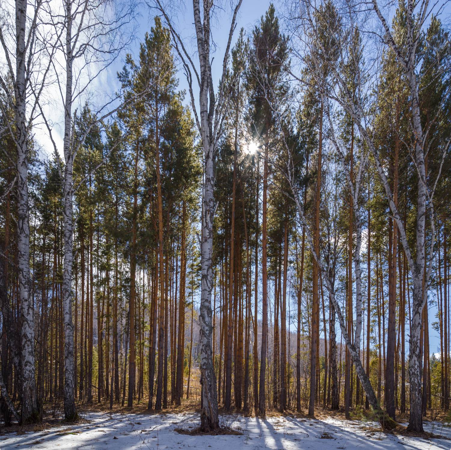 , Шустиков Дмитрий