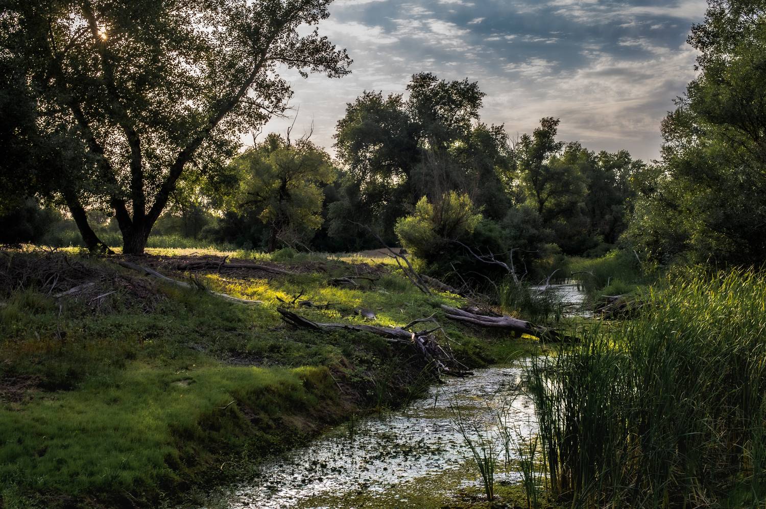 пейзаж,природа,небо, Vasilev Roman
