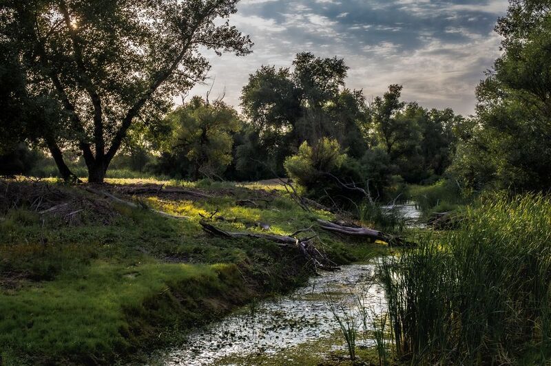 пейзаж,природа,небо По пути фото превью