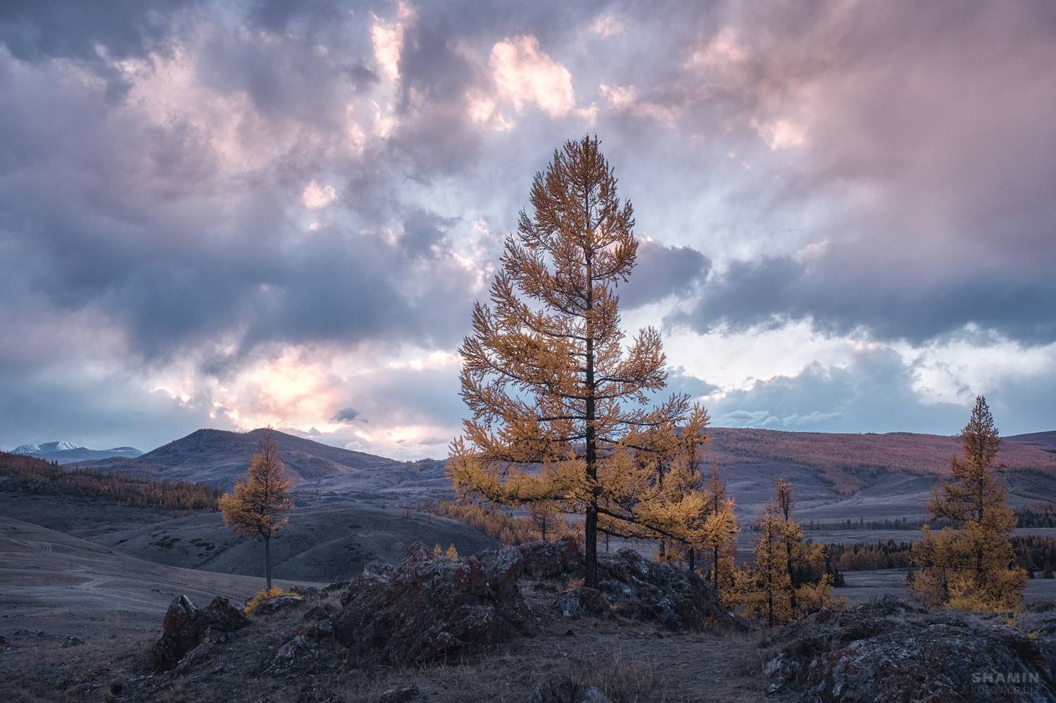 , Константин Шамин