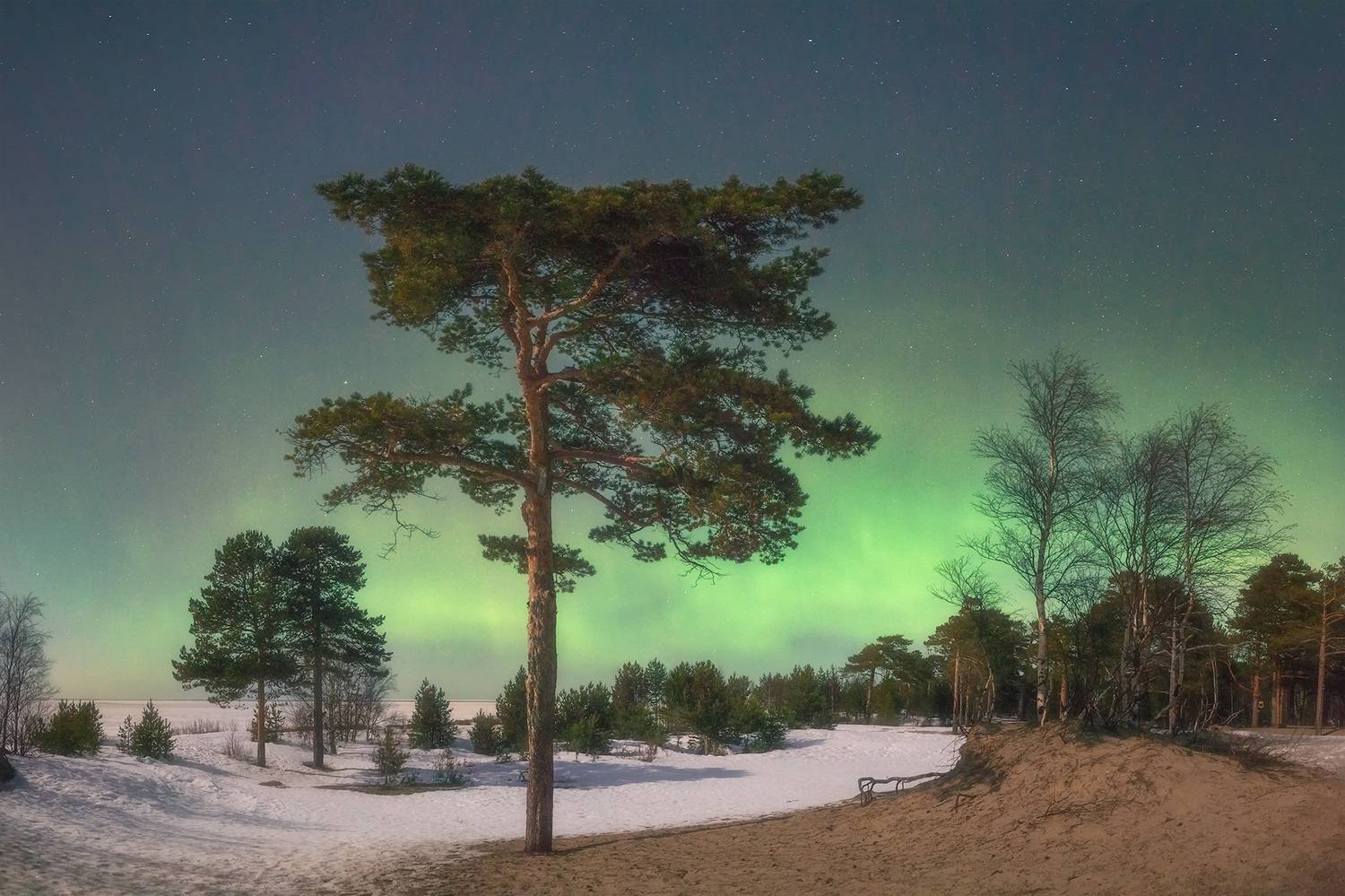 , Александр Ермолин