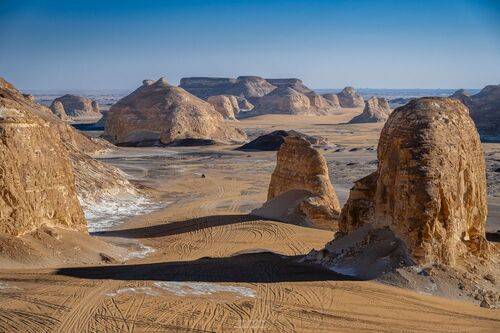 Сахарные головы