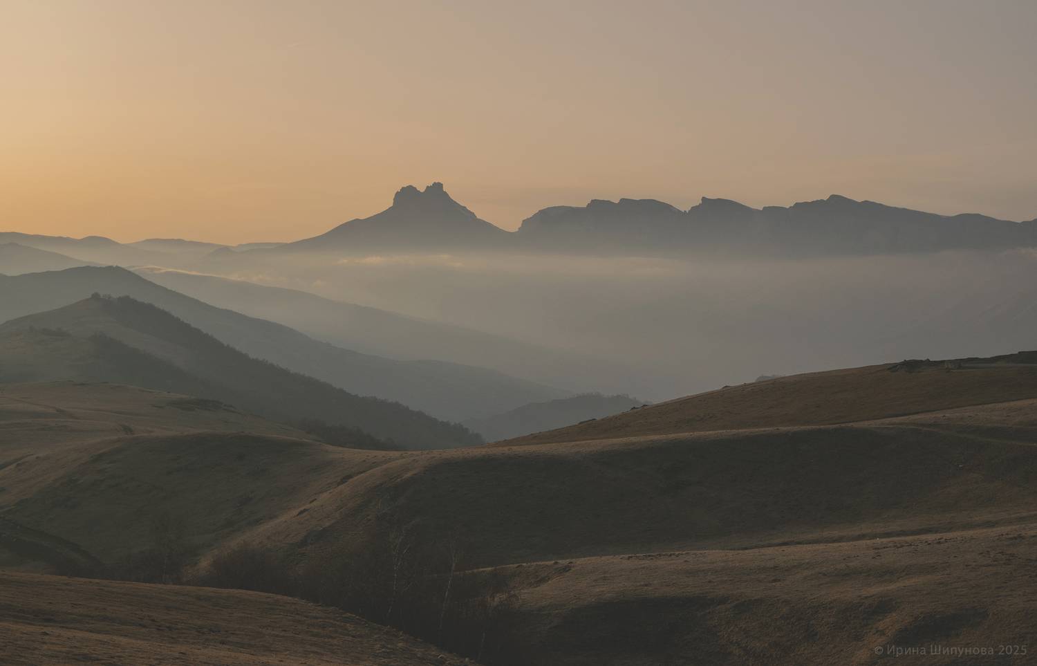 , Шипунова Ирина