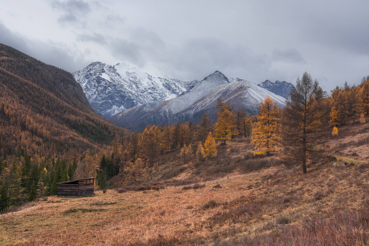 россия, горный алтай,осень,утро, Поляков Андрей