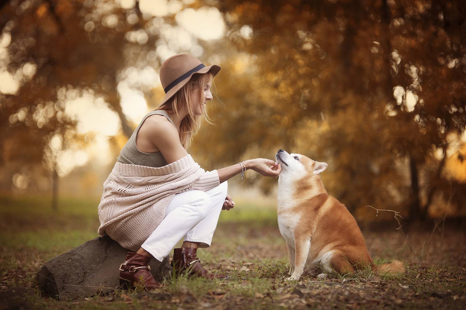 dogs,pets,golden,hour,flowers,backlight,camp,shiba,inu,puppy,natural light,photography,portrait,warm,colors,smile,outdoor,fun,woman,friendship,autumn, Alexandre Marques