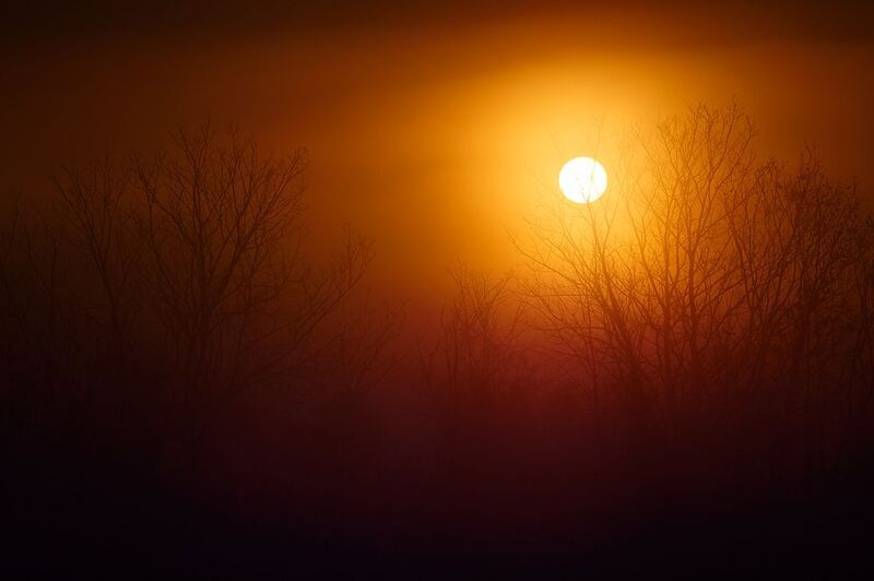 2024-09-27 фото превью