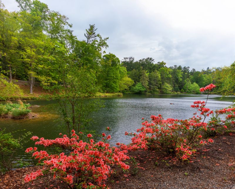 В горах Аппалачи фото превью