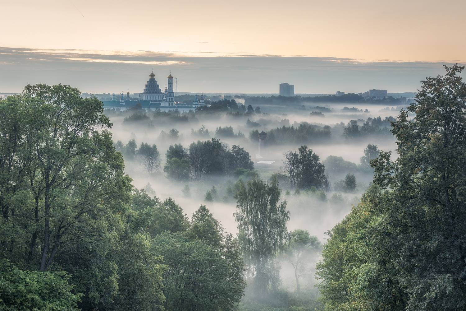 истра, Гусева Елена