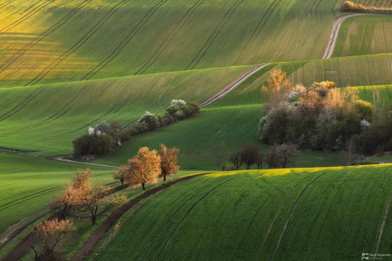 Rolling Hills фото превью