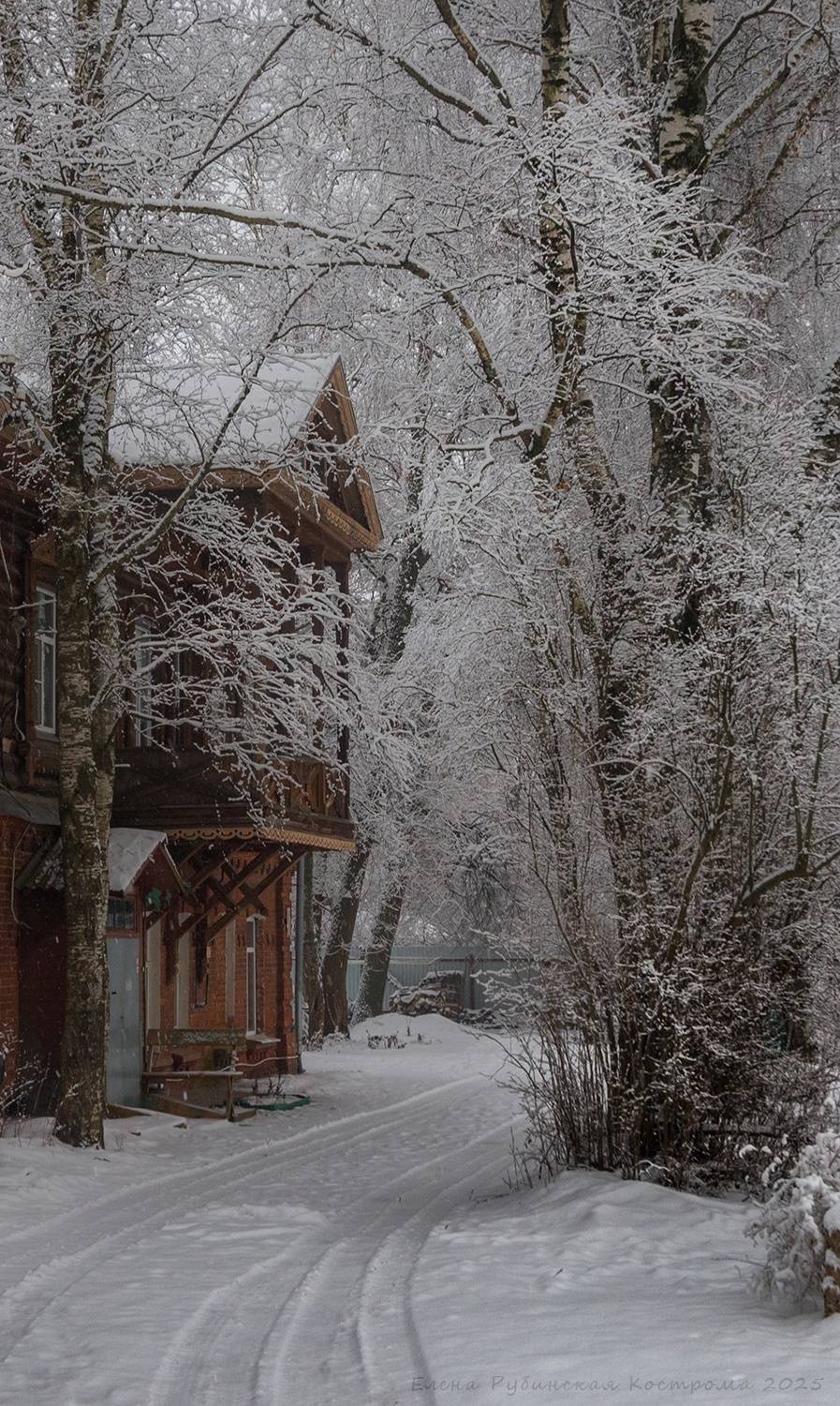 кострома, Елена Рубинская