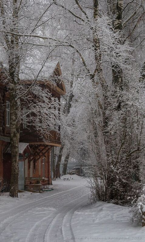 кострома  фото превью