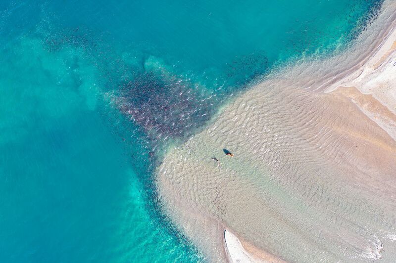 камчатка медведь дрон озеро рыбалка пейзаж Тайны Курильского озера фото превью