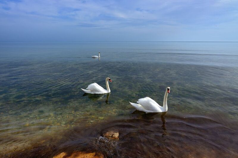 Дневной дозор фото превью