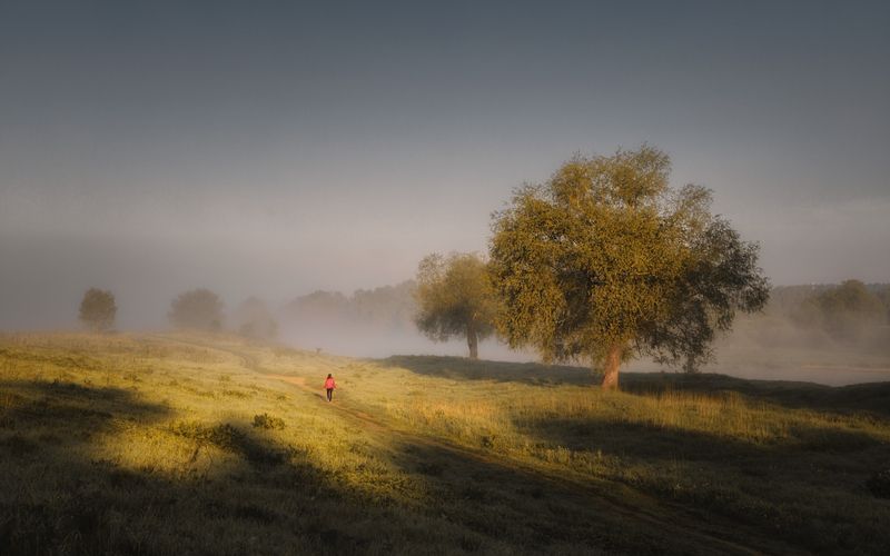 +++ фото превью