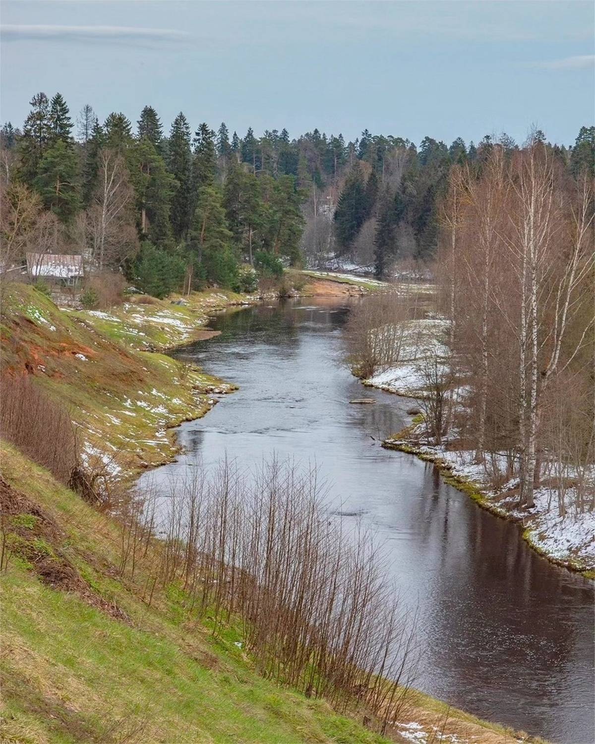 , Петр Косых