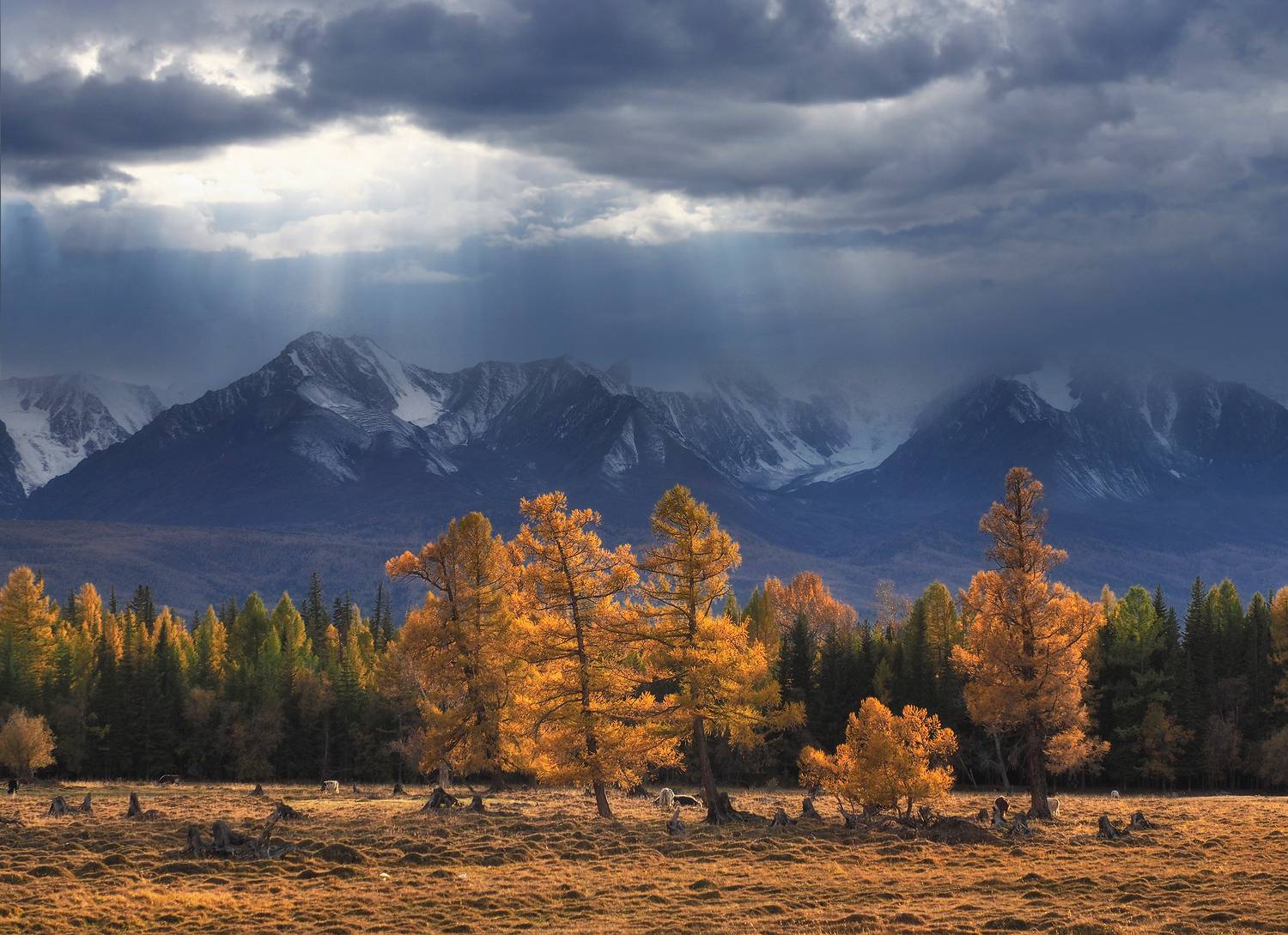 алтай, горный алтай, северо-чуйский хребет, Галина Хвостенко