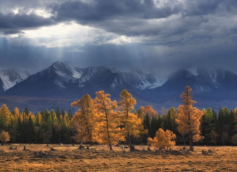 Курайская осень фото превью