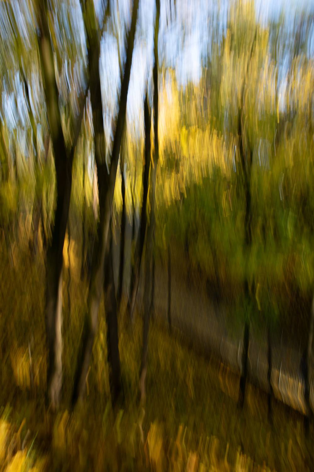 , Туева Наталья