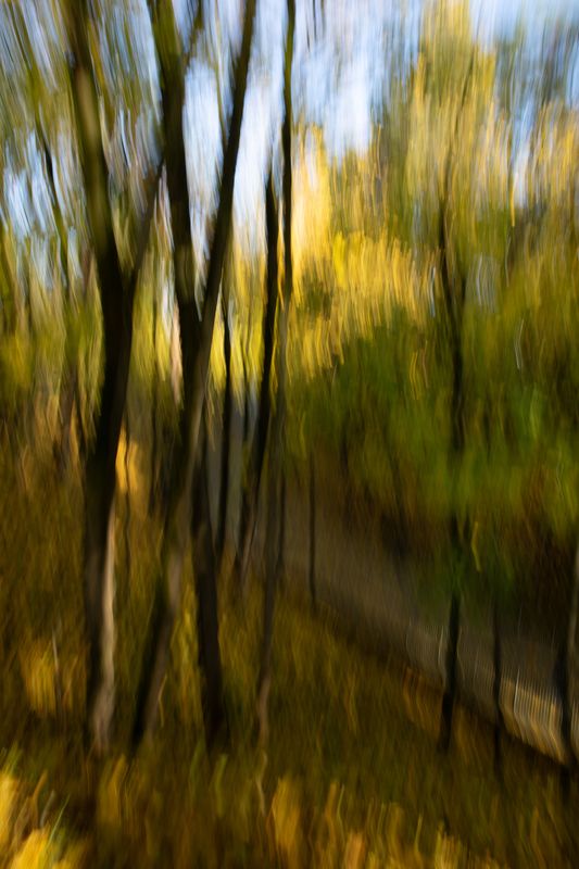 Осень фото превью