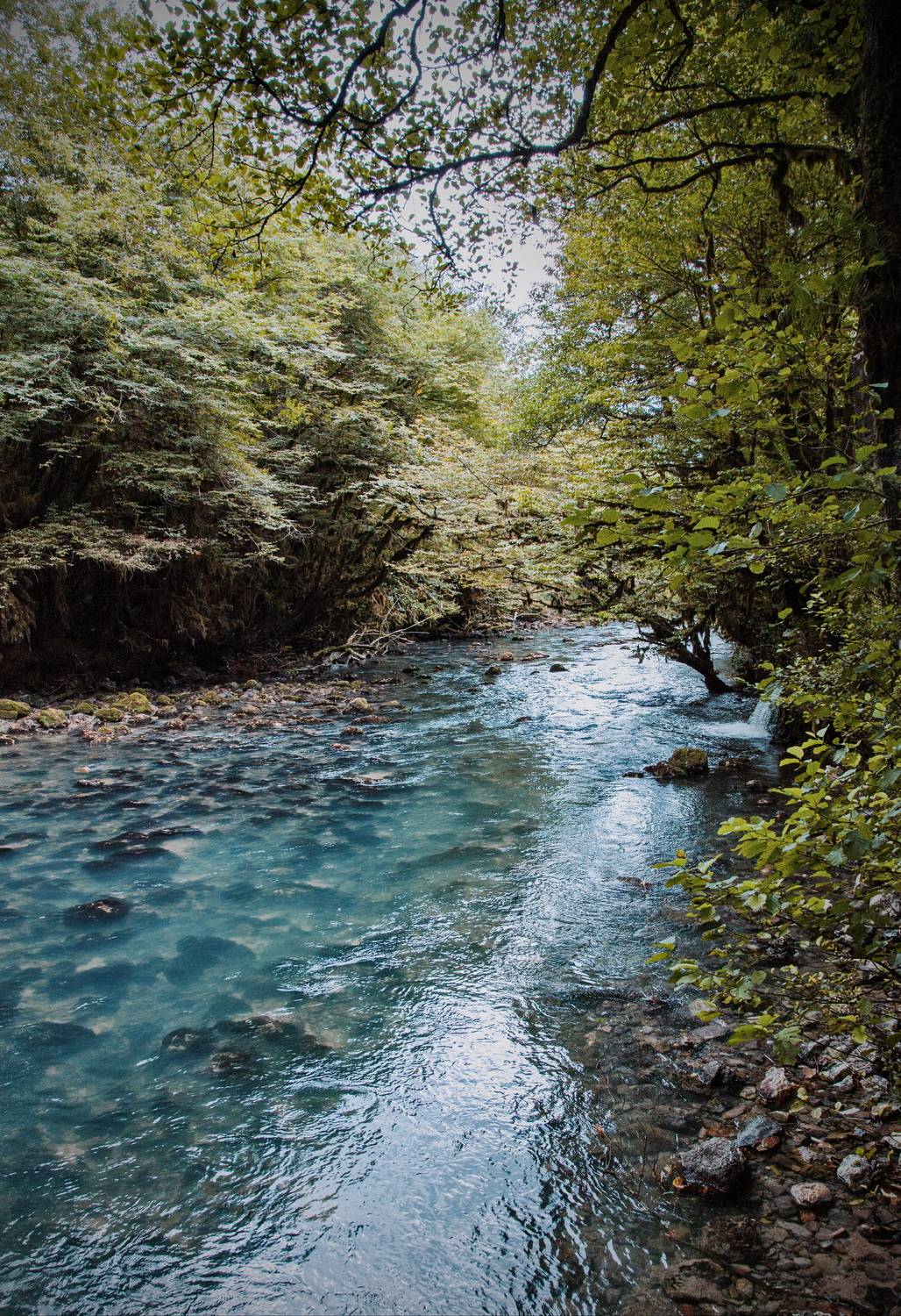 Абхазия, Lilia Tkachenko