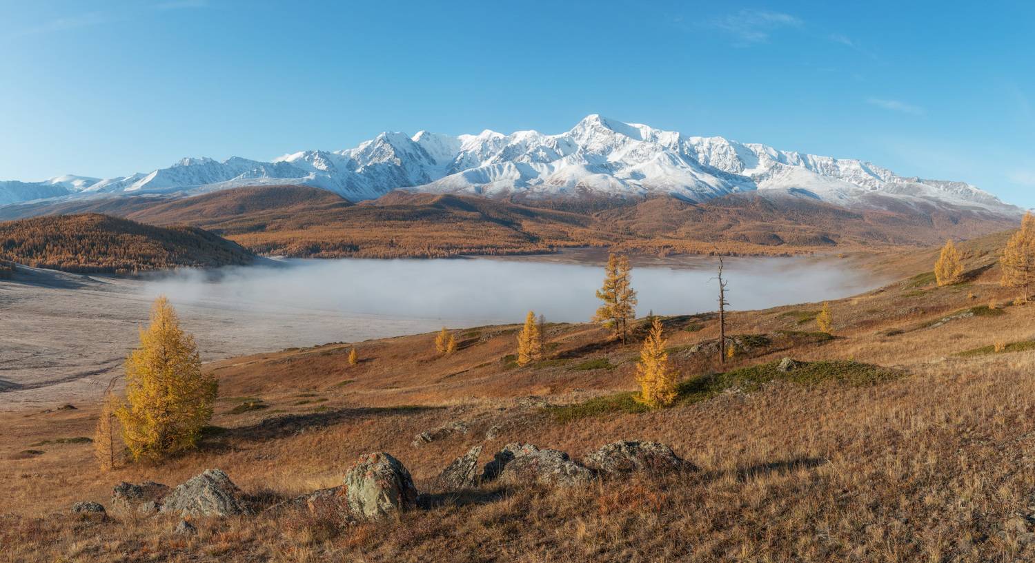 , Сергей Молоков