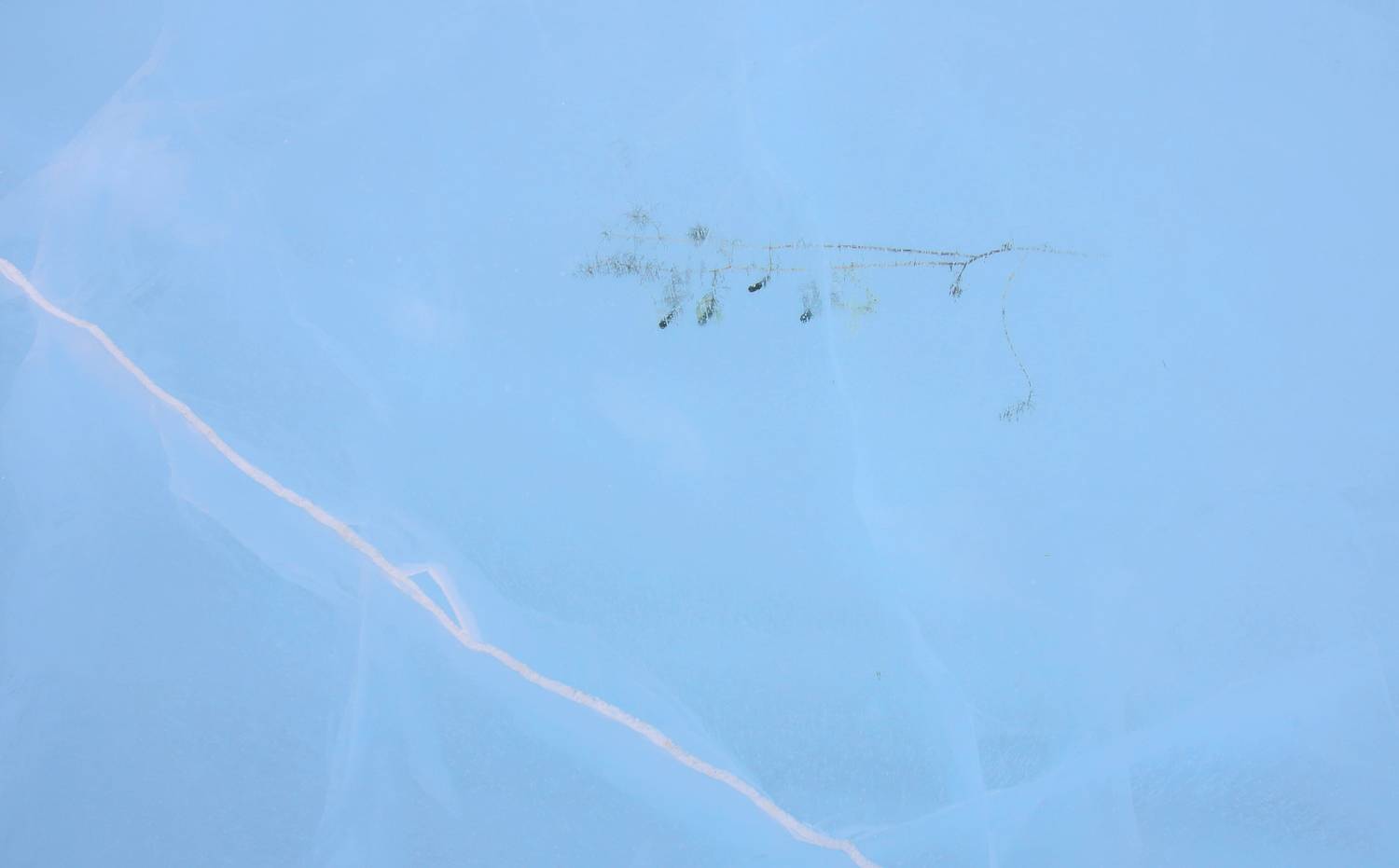 , Павел Мартюшев