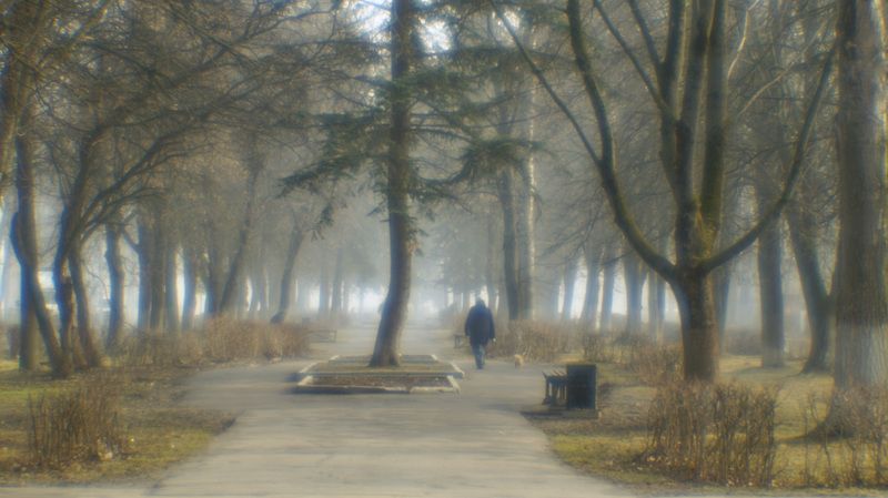 Туманы. (монокль) фото превью