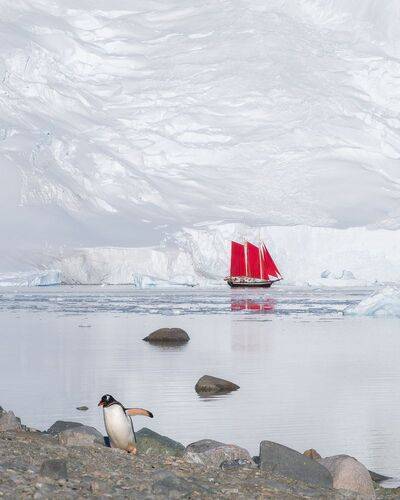 Antarctica