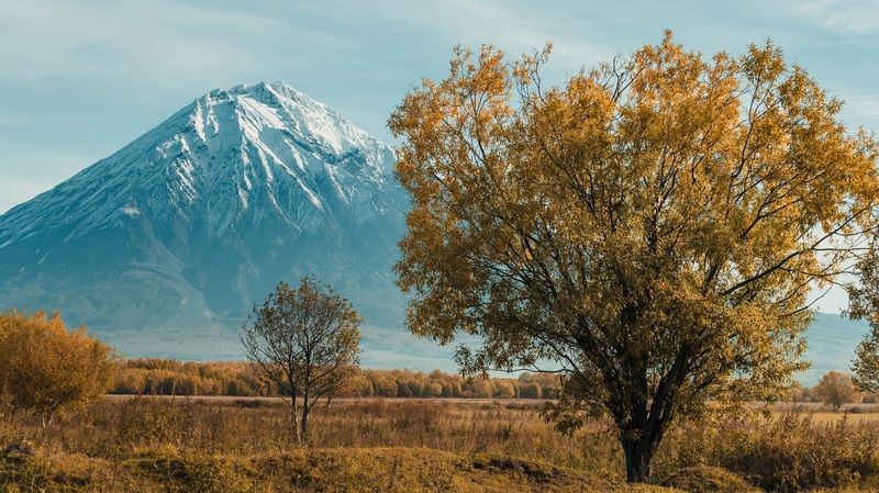 Осенняя хандра фото превью