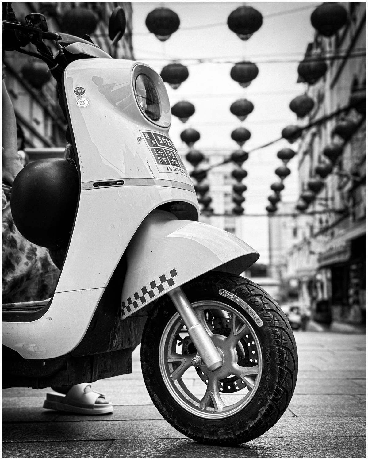 , Щеглова Марина