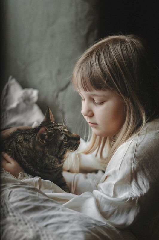 Утро  фото превью