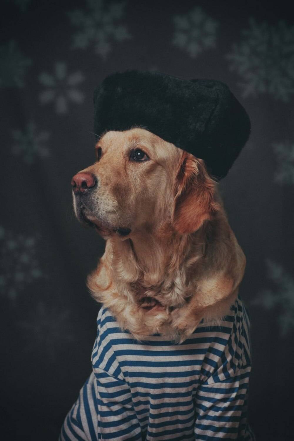 , Рыбаков Илья