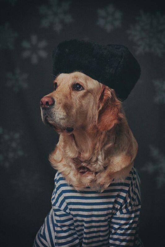 фото превью