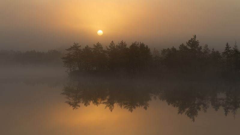 Дымное солнце фото превью